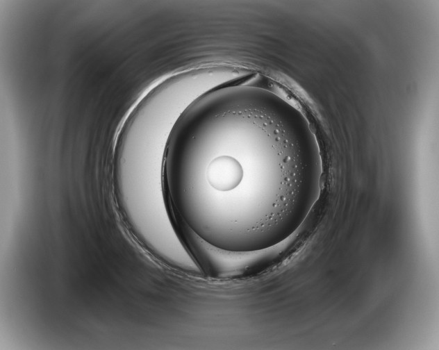X0000087570836200704271246