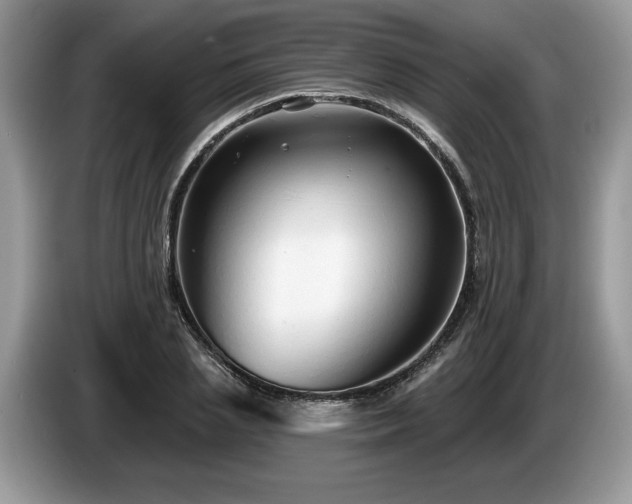 X0000087570837200704271246