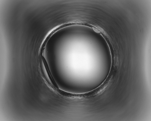 X0000087570838200704271246