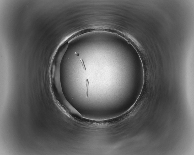 X0000087570840200704271246