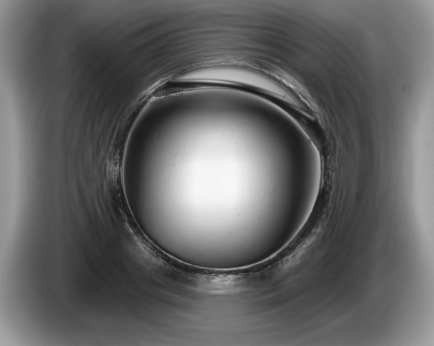 X0000087570841200704271246