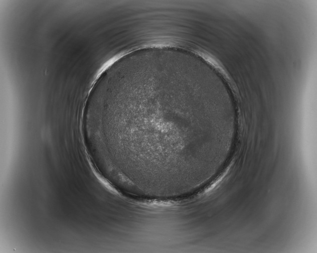 X0000087570842200704271246