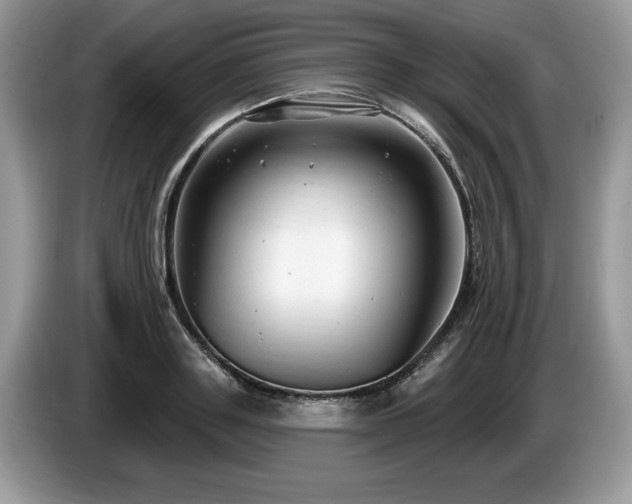 X0000087570843200704271246