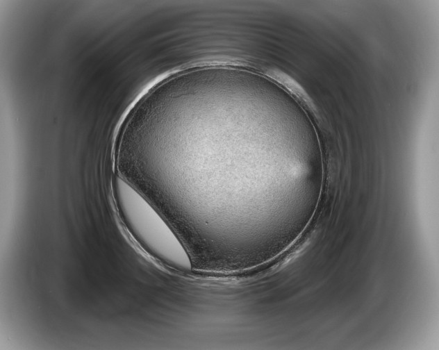 X0000087570844200704271246