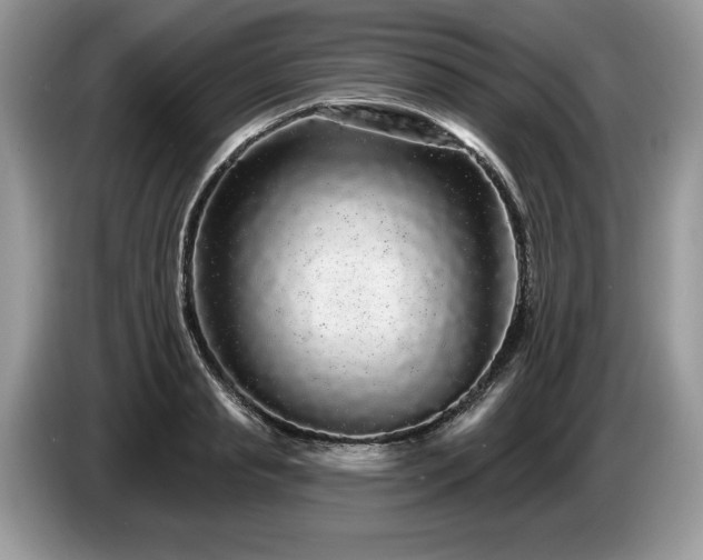 X0000087570845200704271246