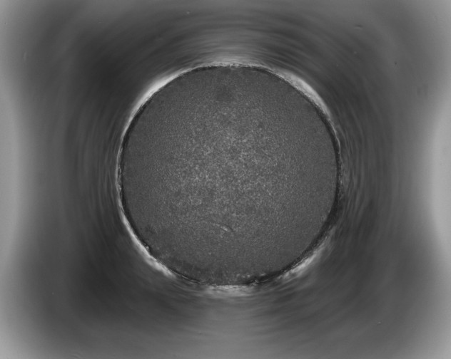 X0000087570847200704271246