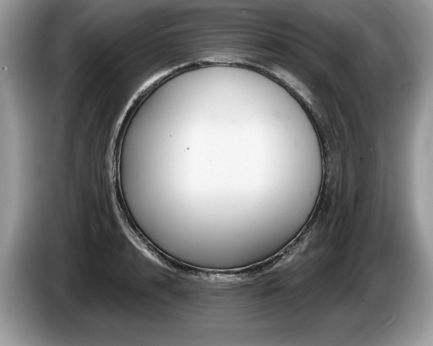 X0000087570848200704271246