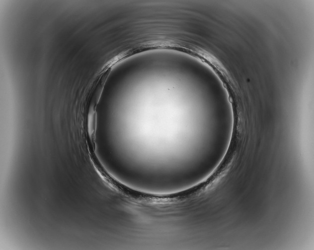 X0000087570849200704271246