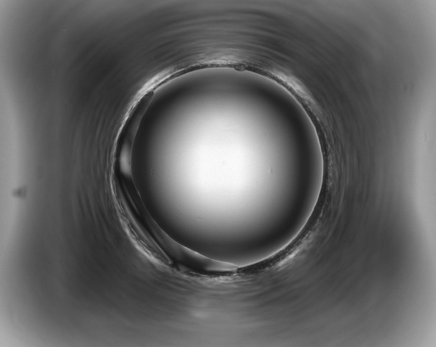 X0000087570850200704271246