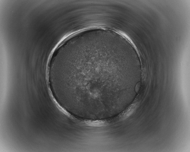 X0000087570851200704271246