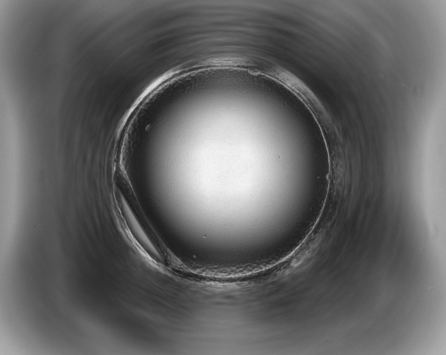 X0000087570852200704271246