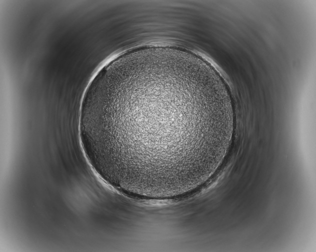 X0000087570853200704271246