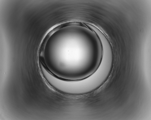 X0000087570854200704271246