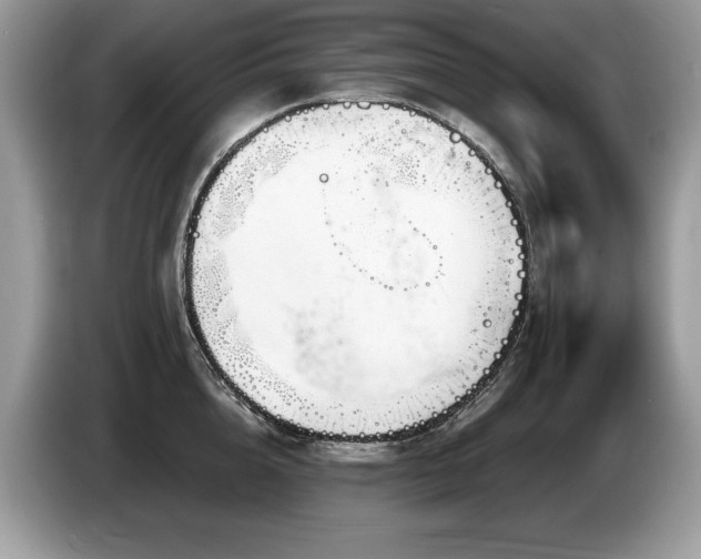 X0000087570856200704271246
