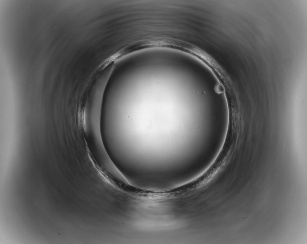 X0000087570857200704271246