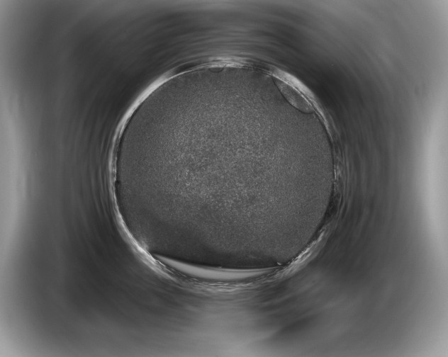 X0000087570859200704271246