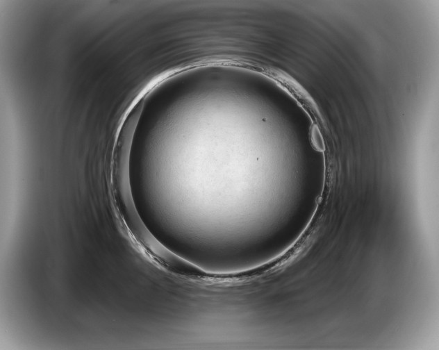 X0000087570860200704271246