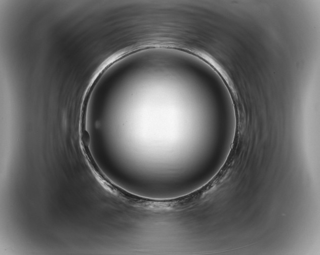 X0000087570861200704271246