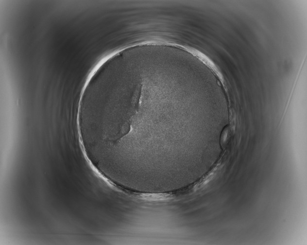 X0000087570863200704271246