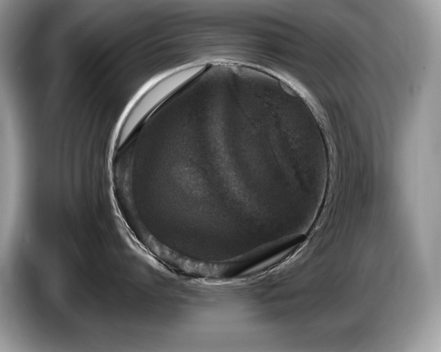 X0000087570864200704271246