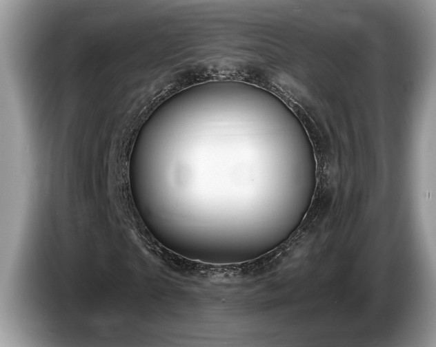 X0000087570865200704271245