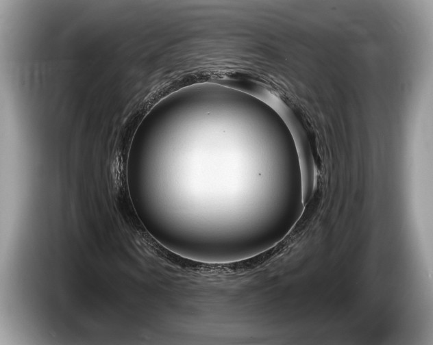 X0000087570866200704271245