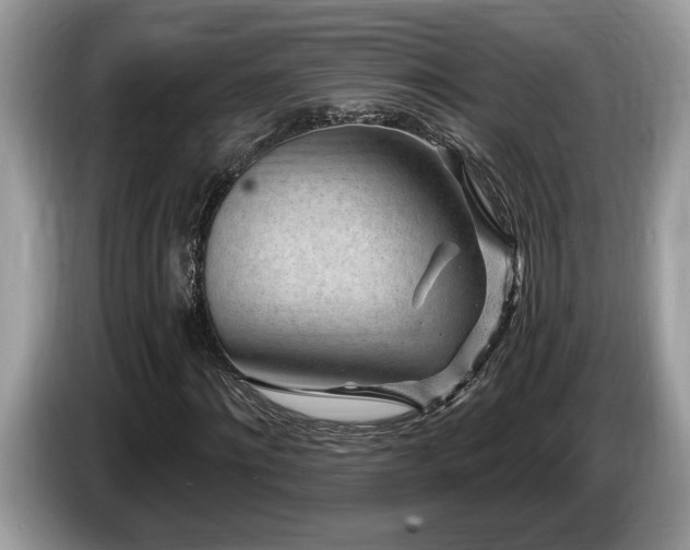 X0000087570868200704271245