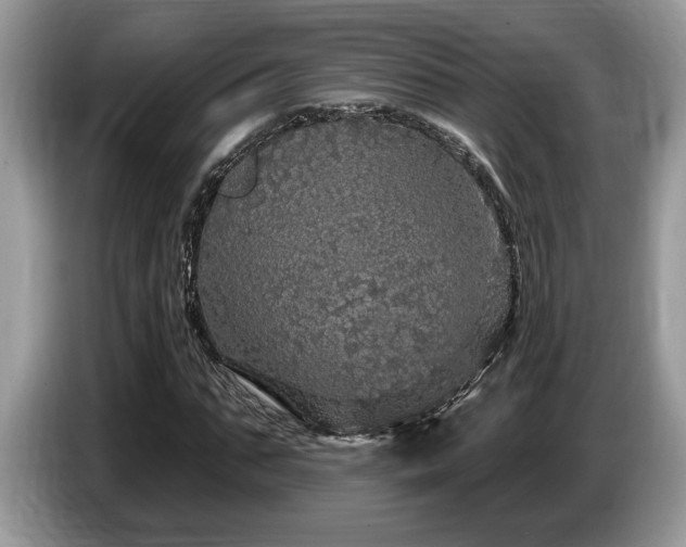 X0000087570871200704271245
