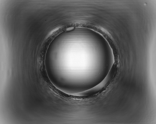 X0000087570872200704271245