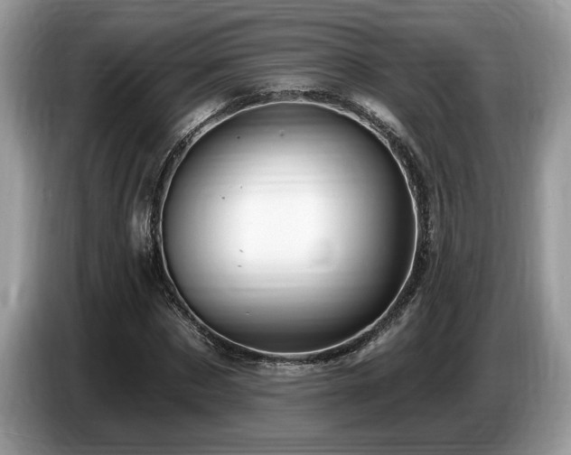 X0000087570873200704271245