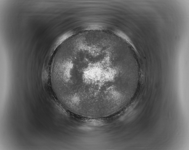 X0000087570874200704271245