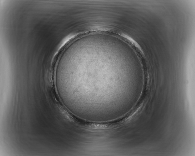 X0000087570878200704271245