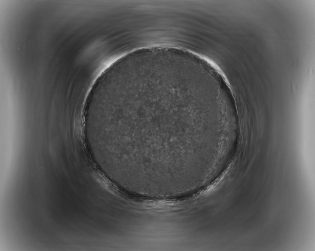 X0000087570879200704271245