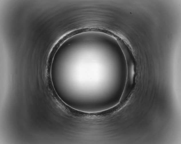 X0000087570880200704271245
