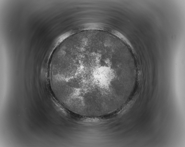 X0000087570882200704271245