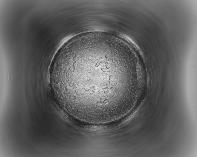 X0000087570883200704271245