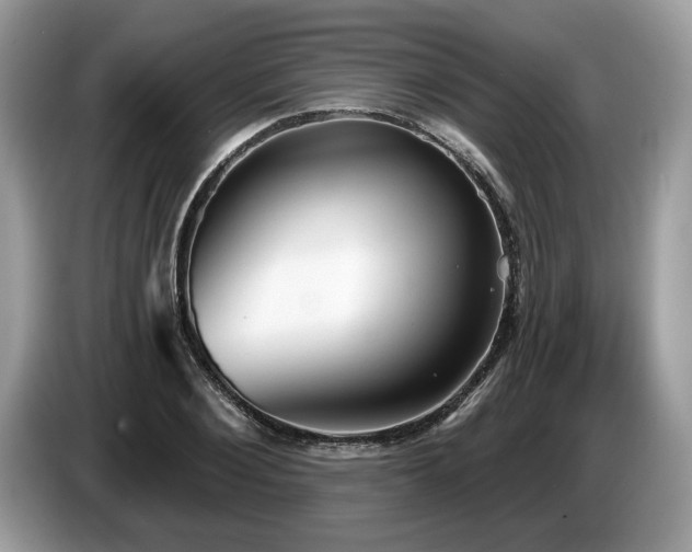 X0000087570884200704271245