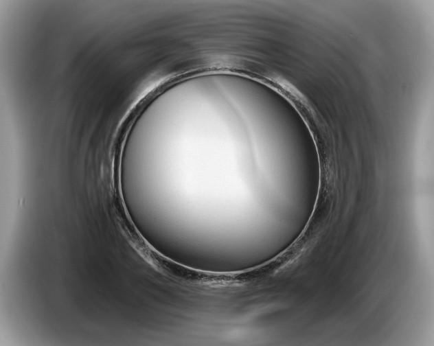 X0000087570886200704271245