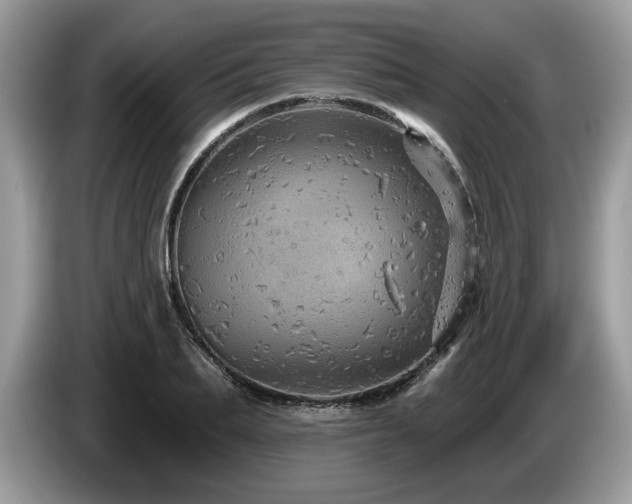 X0000087570887200704271245