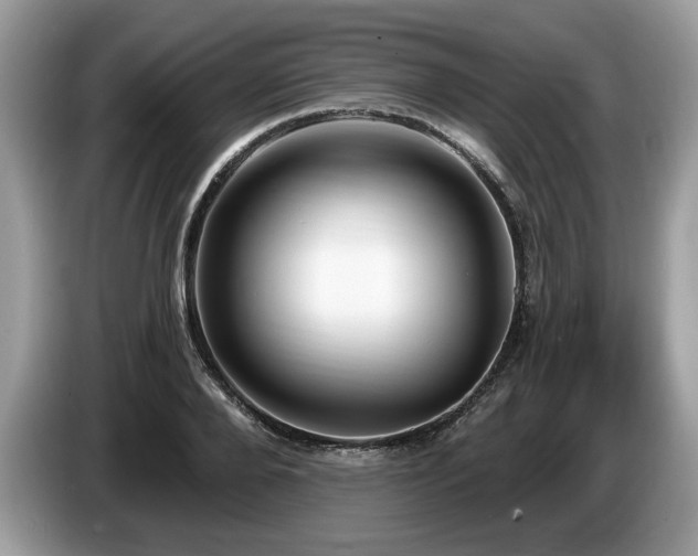 X0000087570888200704271245