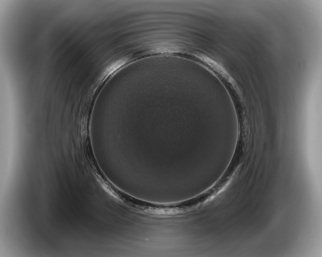 X0000087570889200704271245