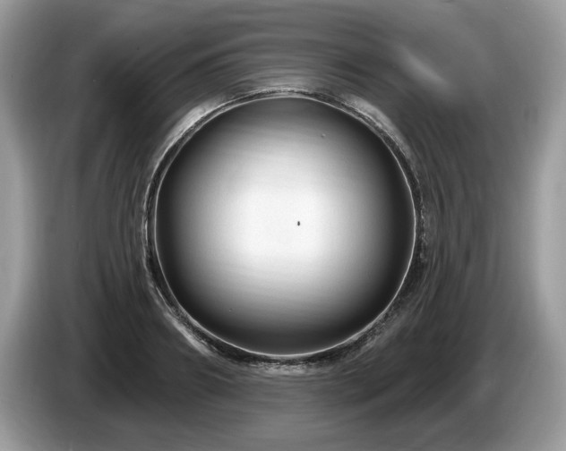 X0000087570890200704271245