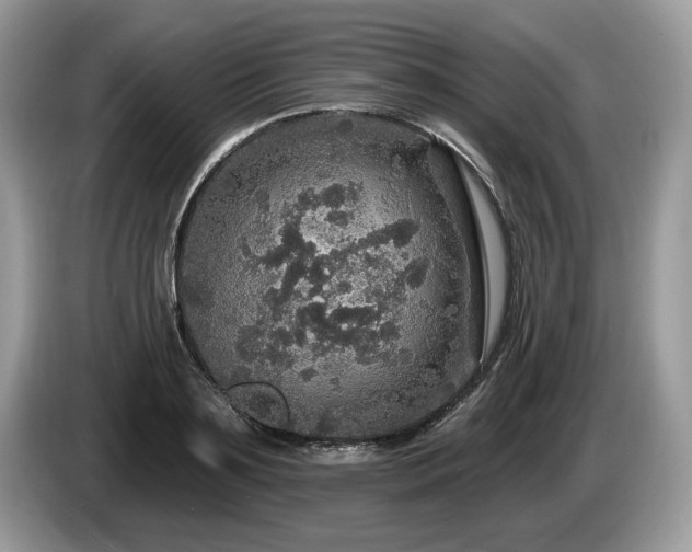 X0000087570891200704271245