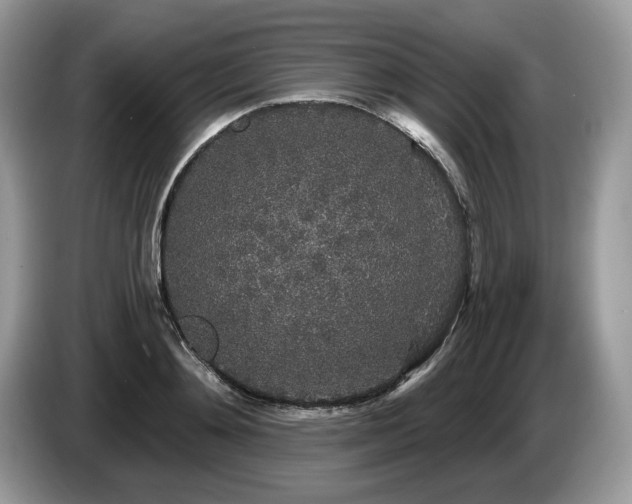 X0000087570892200704271245