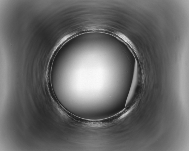 X0000087570893200704271245