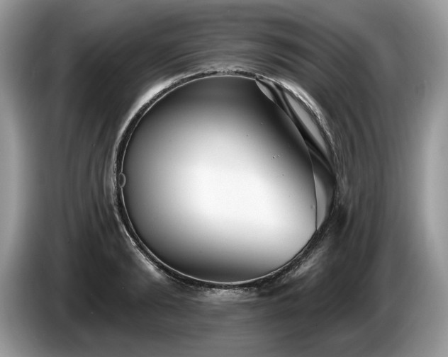 X0000087570894200704271245