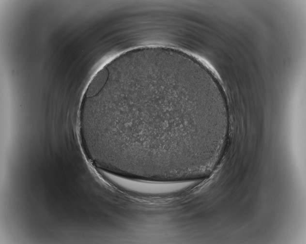 X0000087570895200704271245