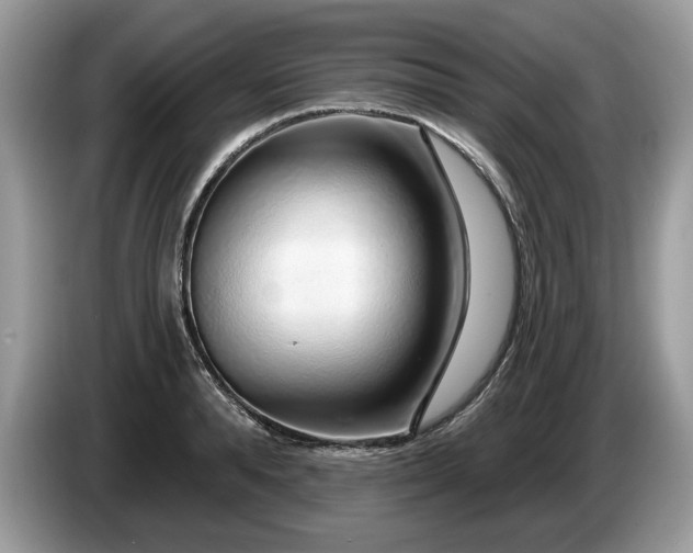 X0000087570896200704271245