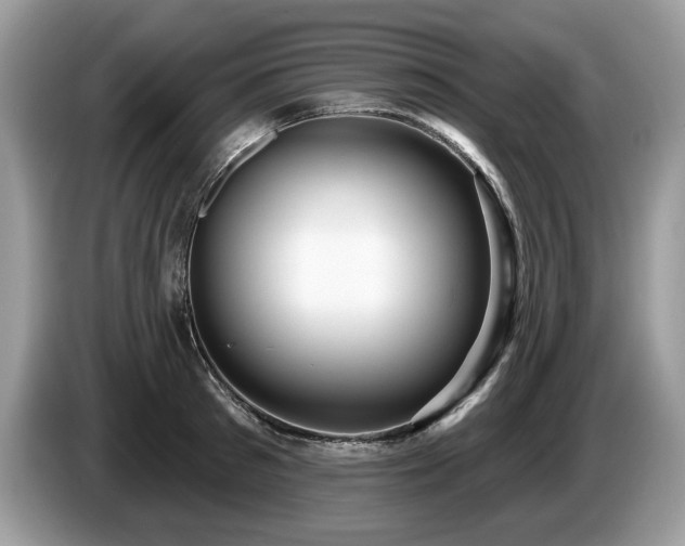 X0000087570897200704271245