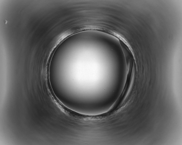 X0000087570898200704271245